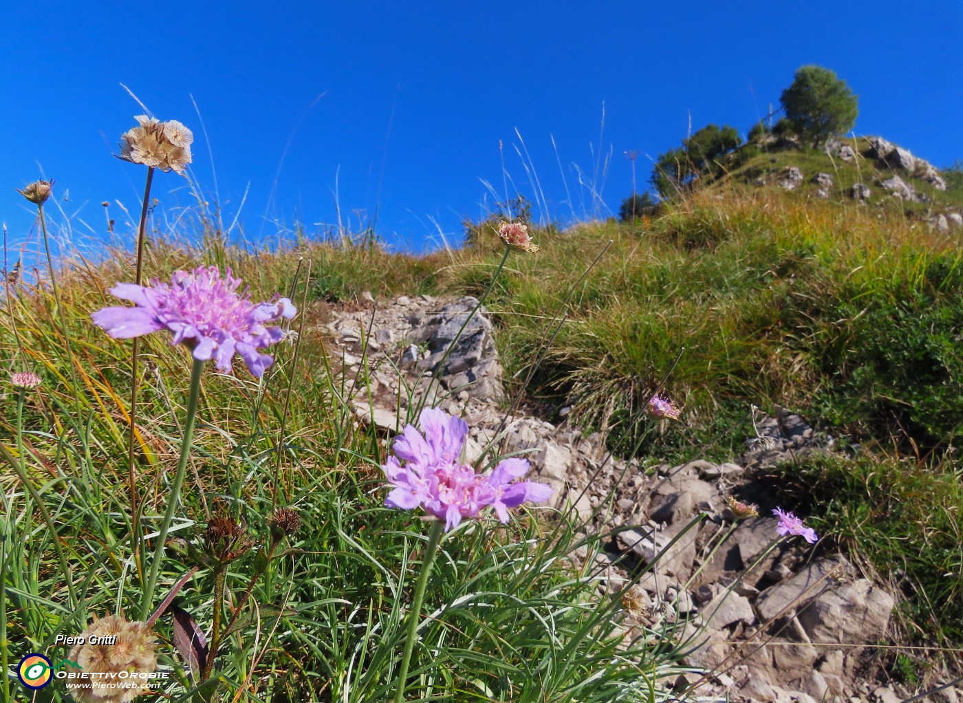 34 Strappo finale e sono in vetta.JPG